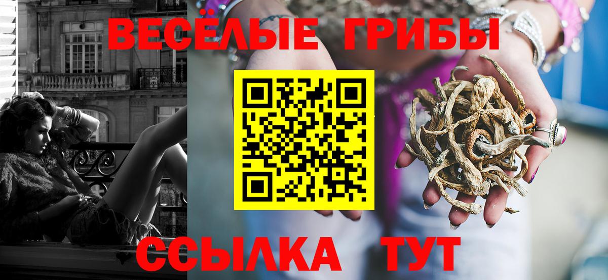 Псилоцибиновые грибы мухоморы Новоалтайск