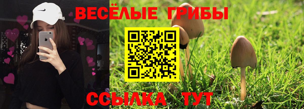 Галлюциногенные грибы Psilocybine cubensis  Галлюциногенные грибы Cubensis  где можно купить   Новоалтайск  Вход с VPN 